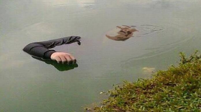 293ec2aba96beef3d4e16d3cf430dc1b