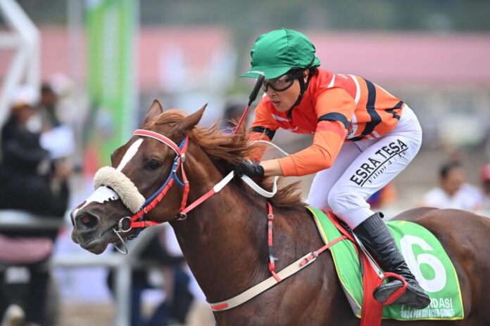 3eee0af61cce748fcad78fa670e2dcc4