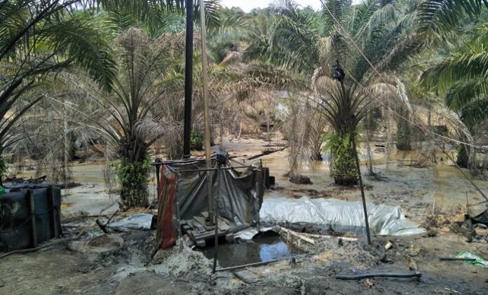 f18b9ac93791e7f43fe9117cc6852996