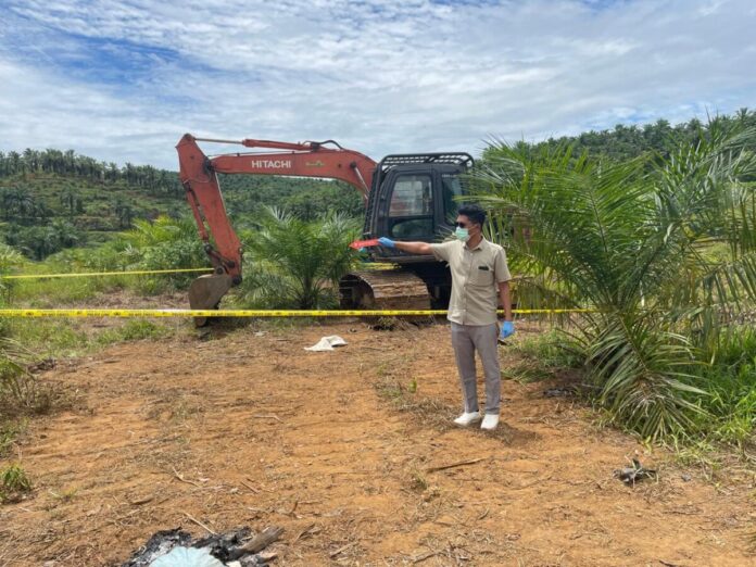 aaf78234480145f7b1e368d66daa37fb