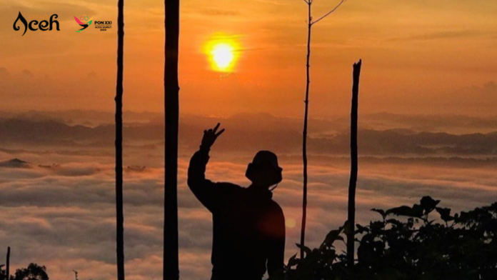 34431d2e5d8a491f6bc4f7bac055692b