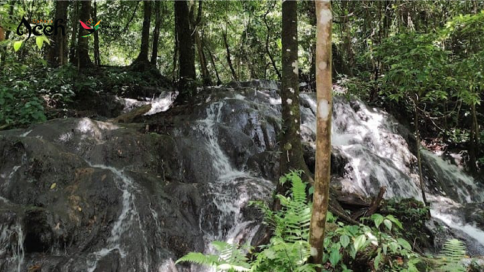 d89f3a35931c386956c1a402a8e09941