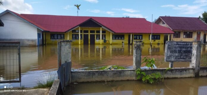 e1d8bf26e10470c1640bff7a88b1b564