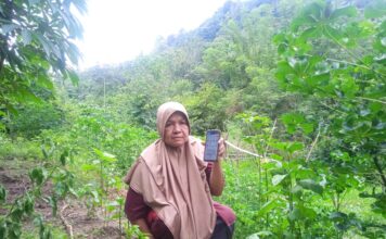 Satu Dekade JKN Mengabdi Tanpa Batas, Temani Kaminah di Pelosok Negeri