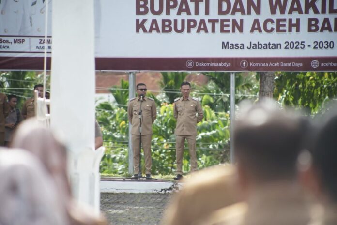 fb43336b894b7ea4c03f4f49d8f3b6e4