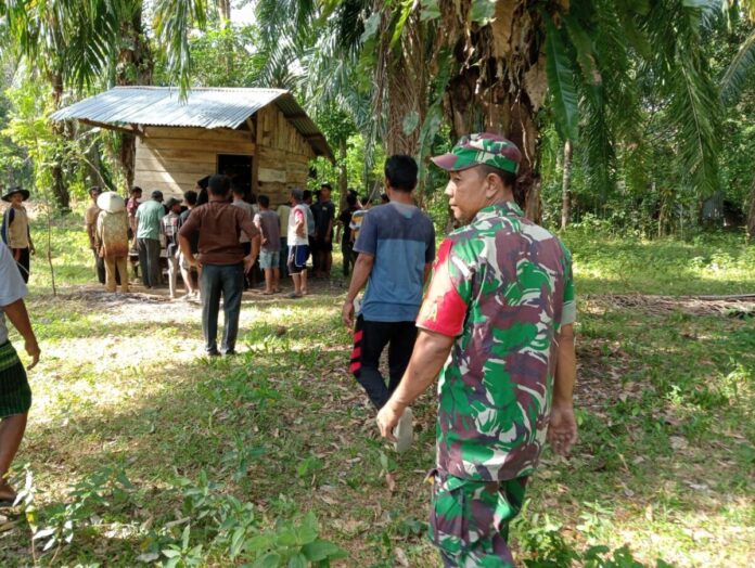 36e8ef2c5fd8fd77592a88549002267b