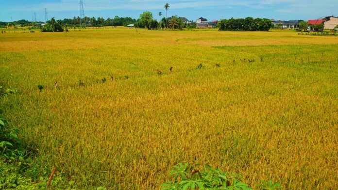 b9afabe7f2ccbf9b44263c0c49532d56