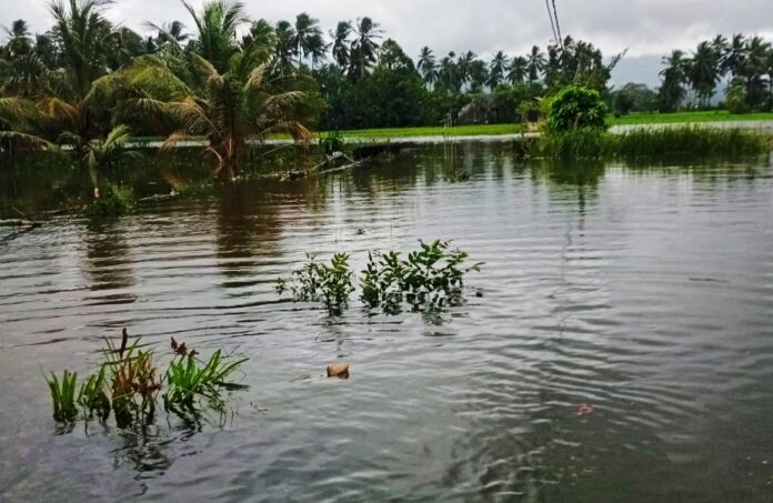 4866b518b6b710ff2cbc3feb99bb1a78