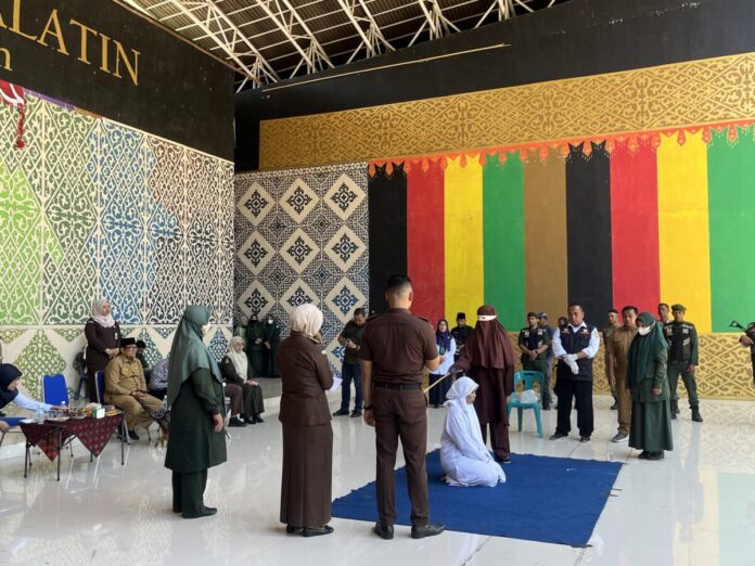 87cc0321a713fd3f0d6c083ae1476539