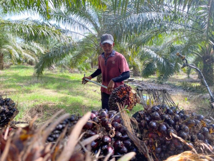 103955a94eb85c33863eb53c8ce3645c