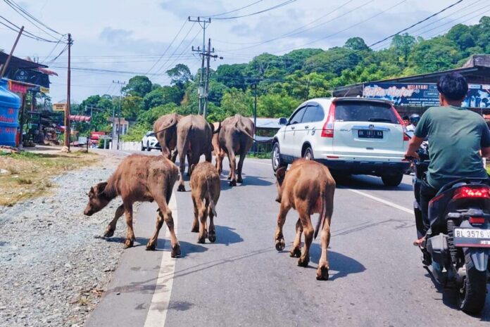 6157f60908f8c1c94bee0c9ae1ddc422