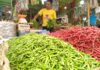 Pasokan Tersendat Akibat Banjir, Harga Cabai Merah dan Rawit di Pasar Blangpidie Abdya Melonjak