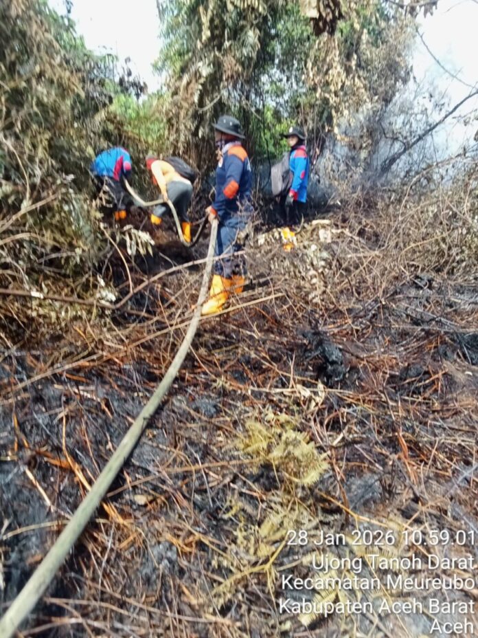 dbfca3a68a2d013bb8de726de6b542f2