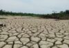 16.276 Hektare Sawah di Aceh Rusak Berat Pascabencana, Petani Butuh Penanganan